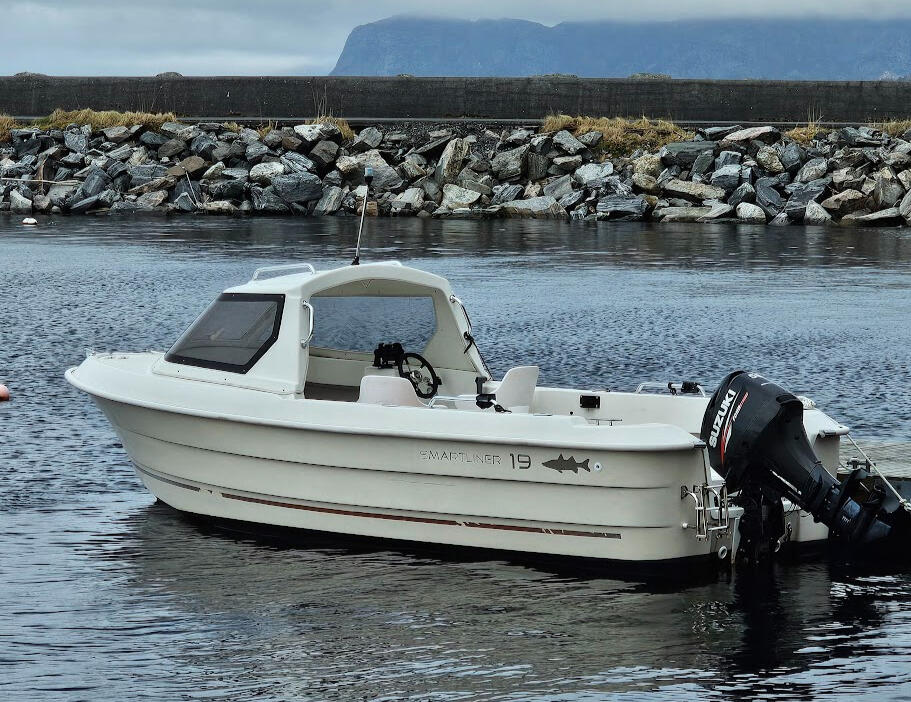 Smartliner 19 m/Suzuki DF50